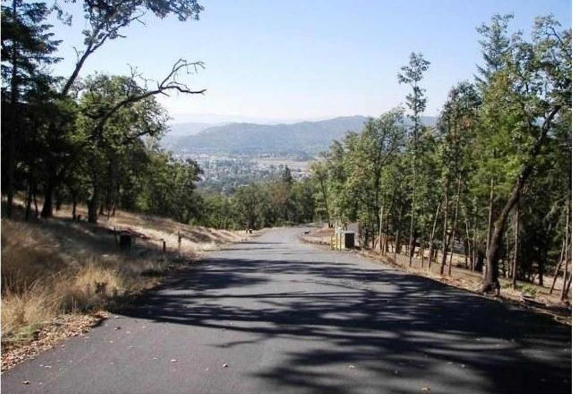 1298 Southridge Way: Custom Build Your Luxury Dream Home! header image.