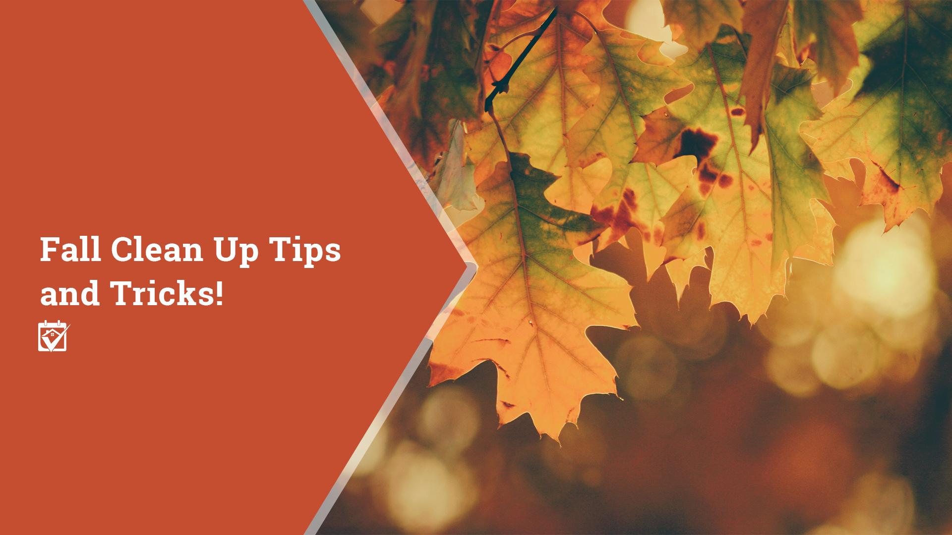 Fall Cleanup Tips and Tricks header image.