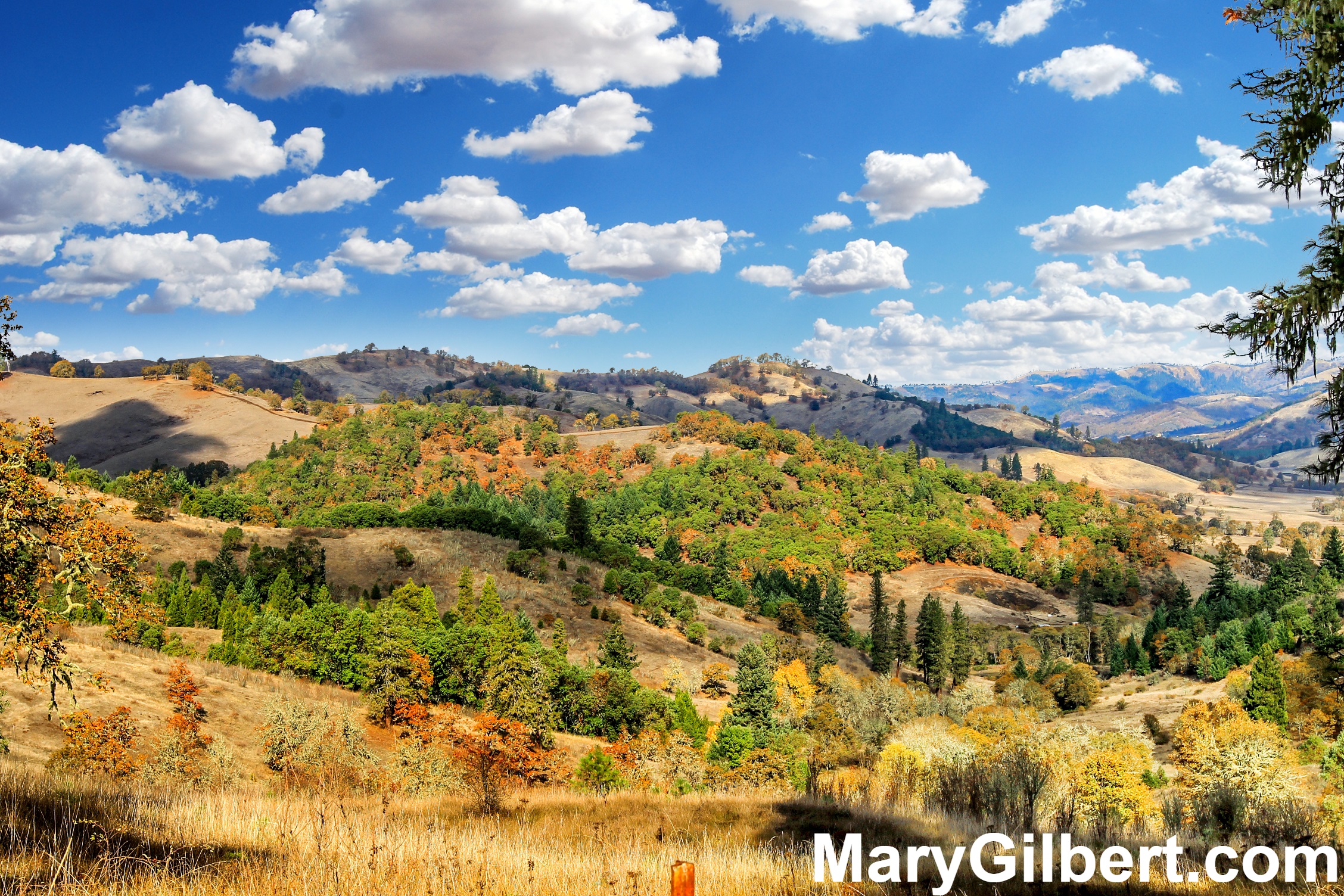 0 Sunshine Road: 650+ Acre Ranch with Fantastic Views! header image.