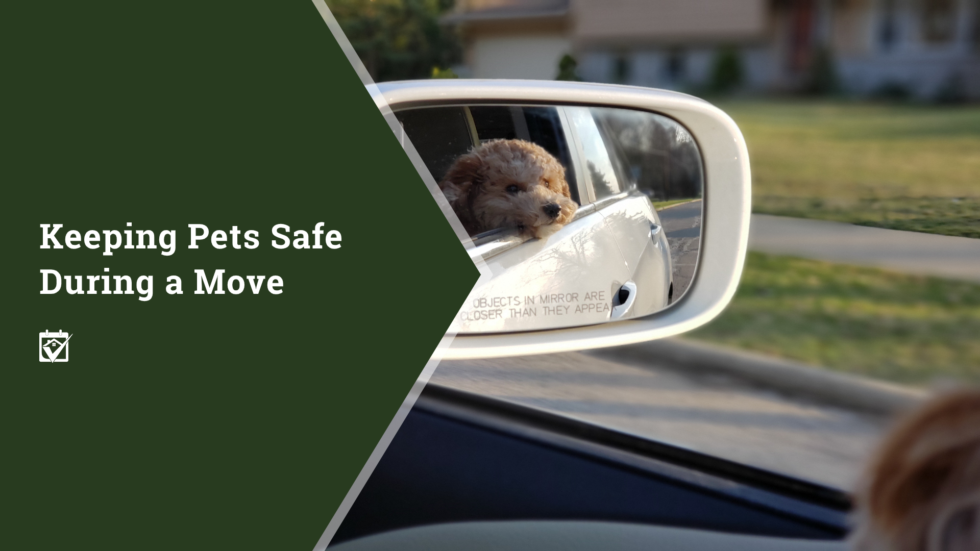 Keeping Pets Safe During a Move header image.
