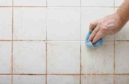 Preventing and Removing Mold header image.