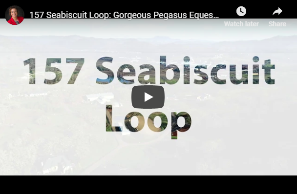 157 Seabiscuit Loop: Gorgeous Pegasus Equestrian Estates Home! header image.