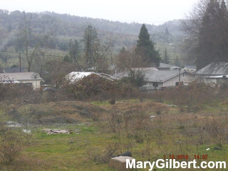 0 NE Hall Ave: Commercial Corner Lot in Town! header image.