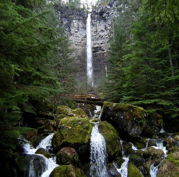 Exploring Roseburg Oregon: Umpqua National Forest and Watson Falls header image.
