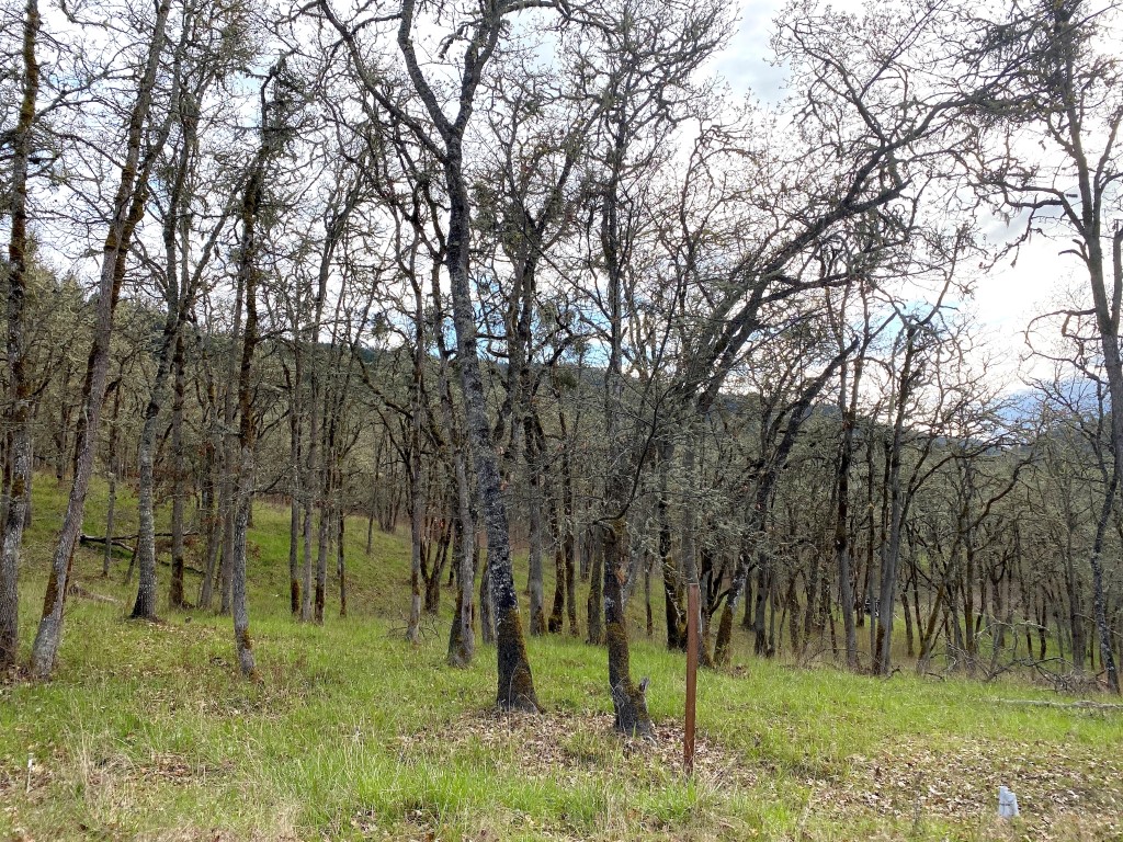 Roseburg OR Lot Ready For Your New Home! header image.