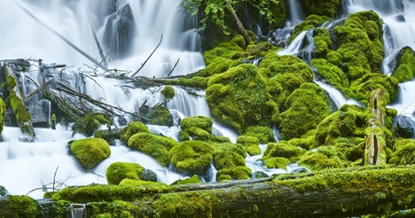 Exploring Roseburg Oregon: Hike to Clearwater Falls header image.