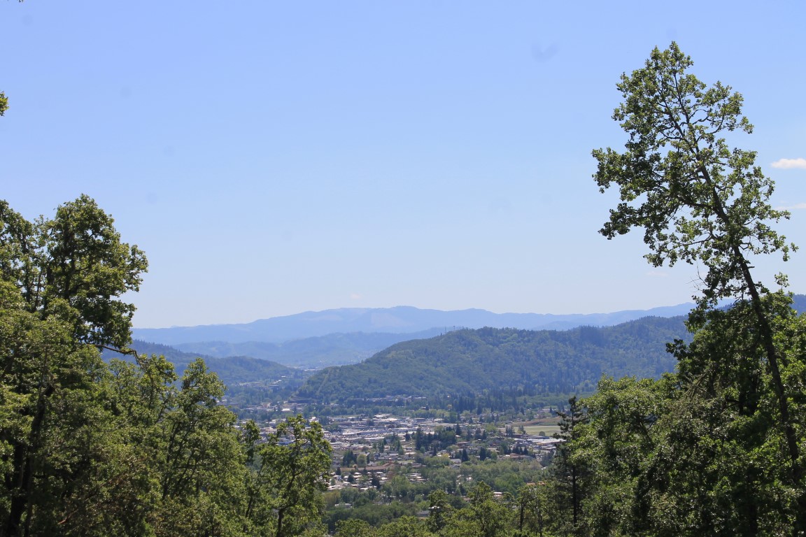 670 Southridge Way: Estate Lot in this Luxury Gated Community! header image.