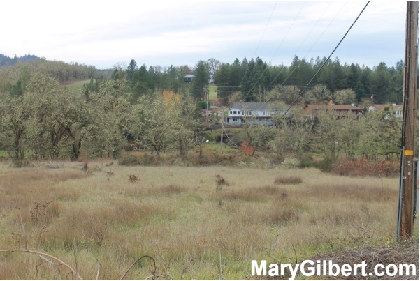 0 Sable Drive: Building Lot with River Frontage! header image.