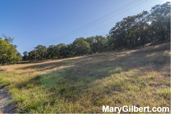 0 NE Stephens St #2: 42 Acres on the Path to Development! header image.