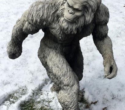 Exploring Roseburg Oregon: Glide Sasquatch Festival header image.