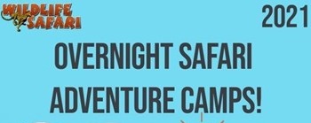 Exploring Roseburg Oregon: Overnight Safari Adventure Camp header image.