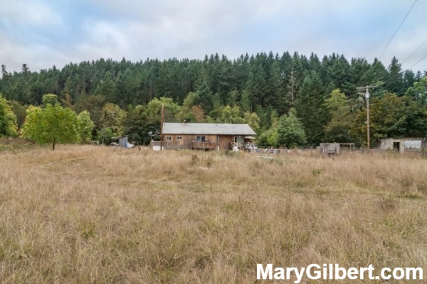 194 East Willis Creek Rd: Quiet Country Home on 9+ Acres! header image.