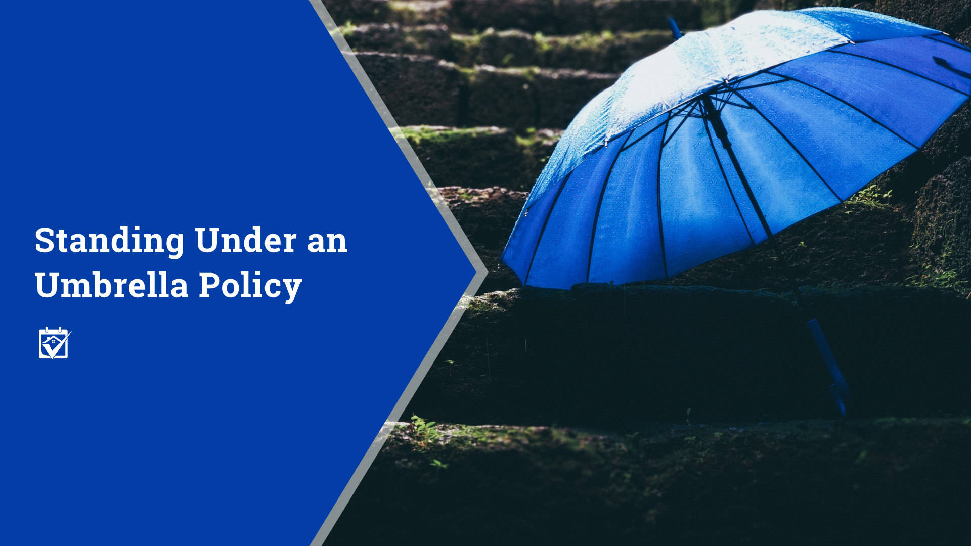 Standing Under an Umbrella Policy header image.