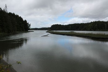 Exploring Roseburg Oregon: Hike: South Slough header image.