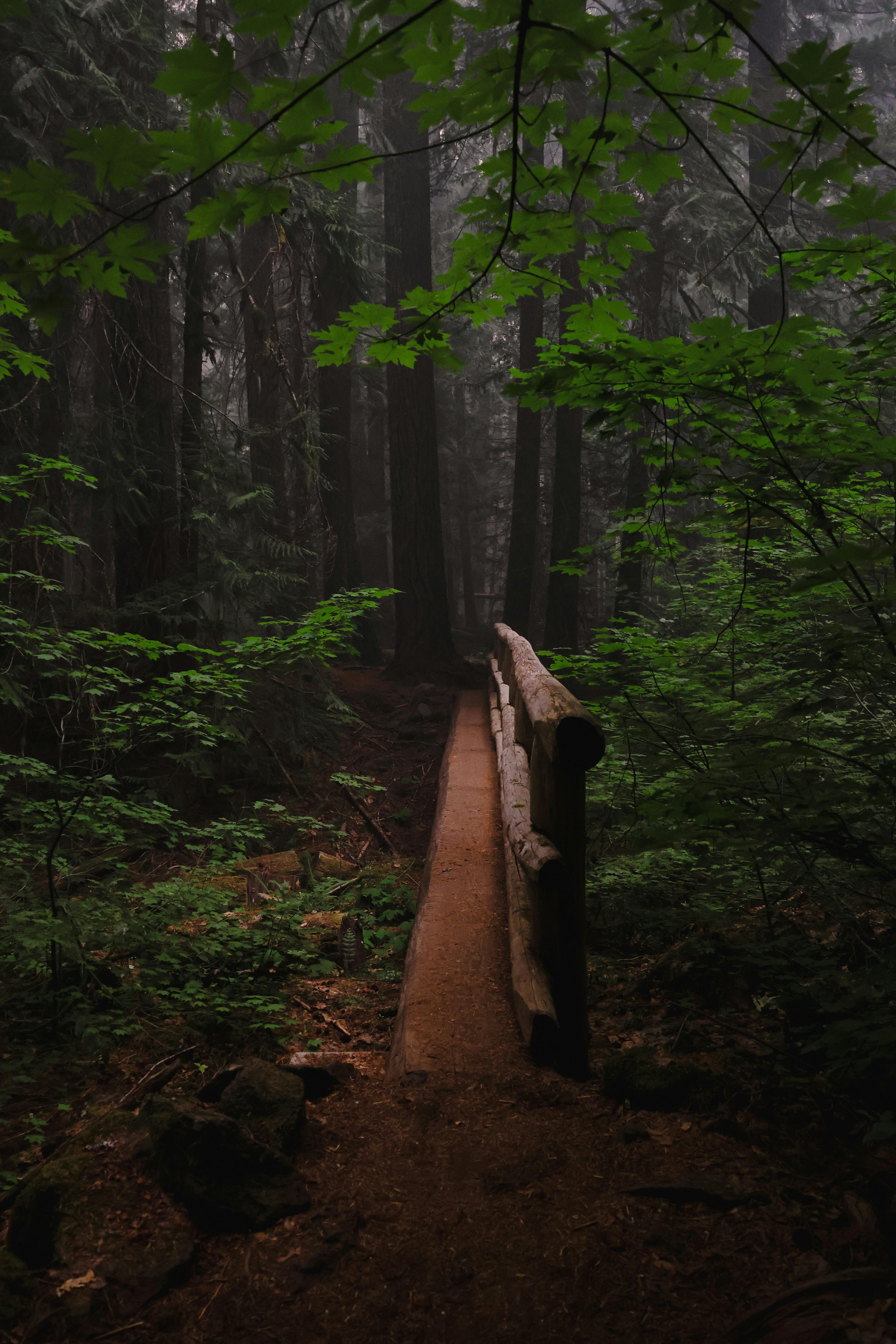 Why Move to Douglas County, Oregon header image.