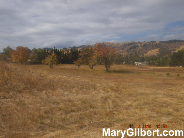 0 Little Valley Road: 5+ Acres for a Potential Subdivision! header image.