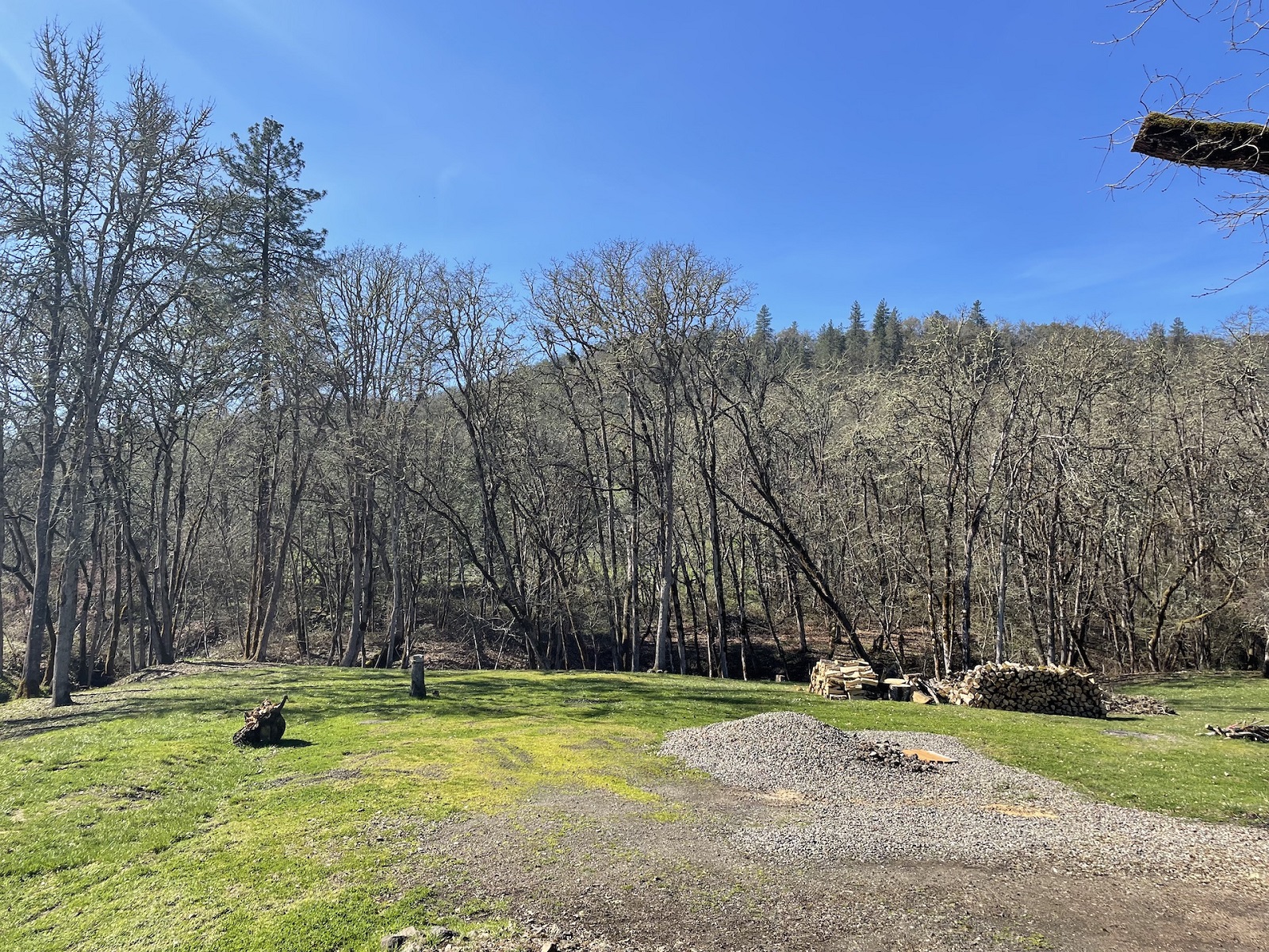 1158 NE Rifle Range St header image.