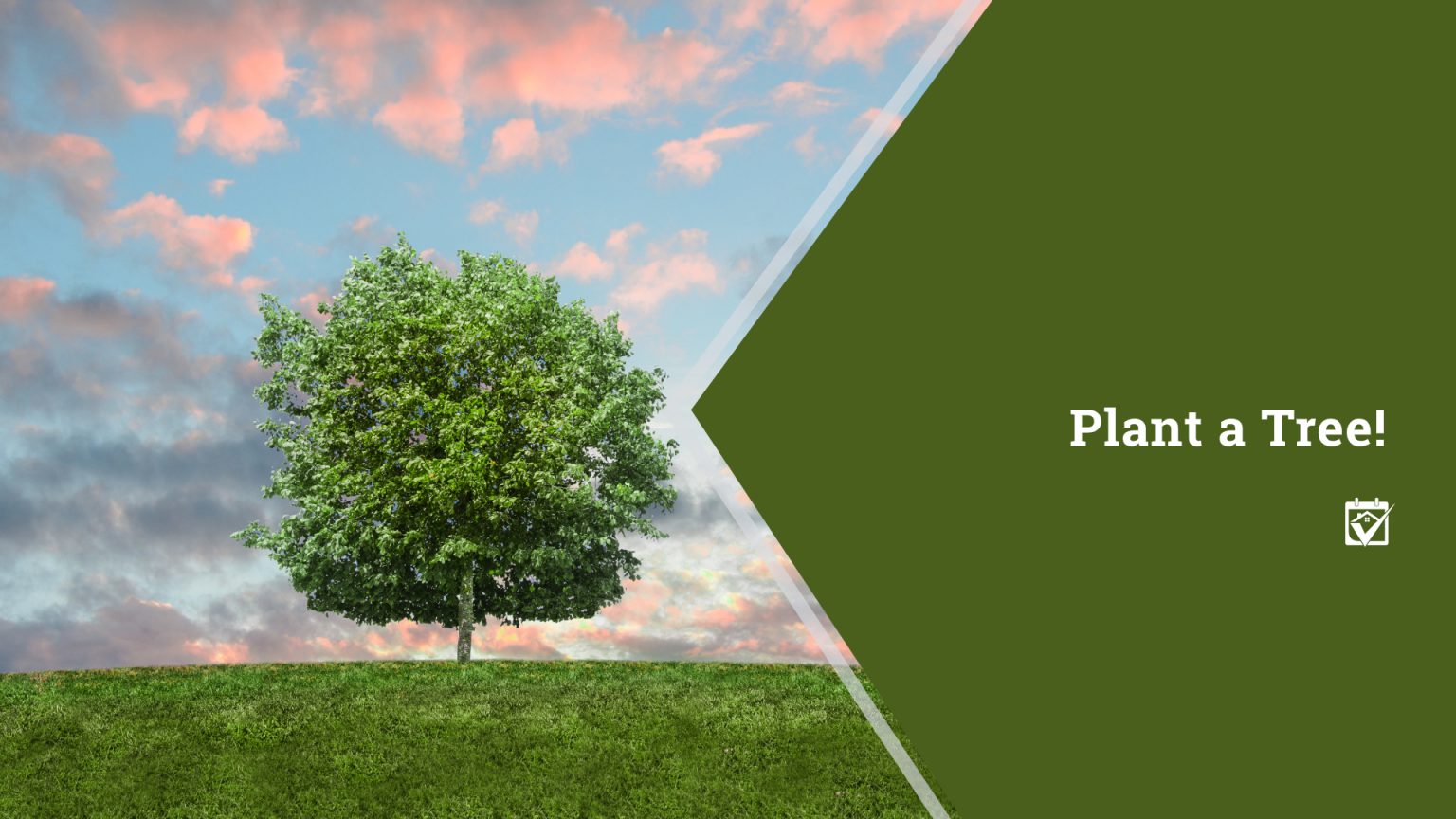 Plant a Tree! header image.