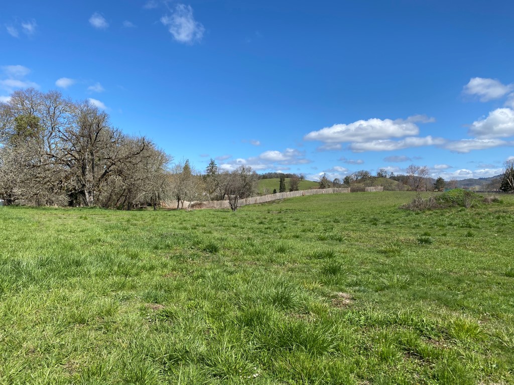 Beautiful, Level Lot on the South Umpqua River in Roseburg OR! header image.