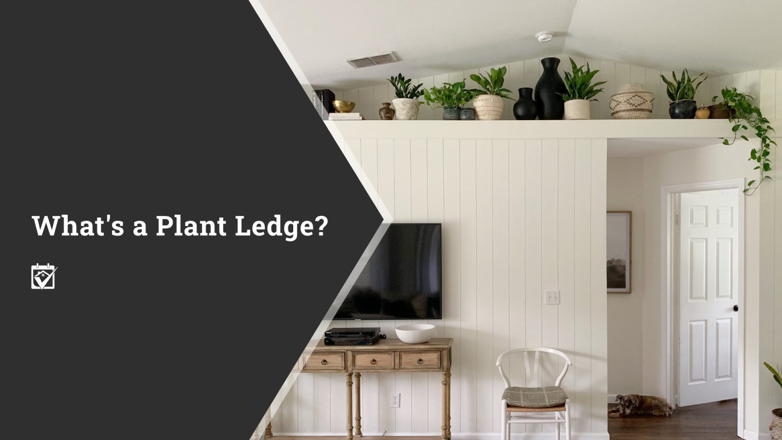 What’s a Plant Ledge? header image.