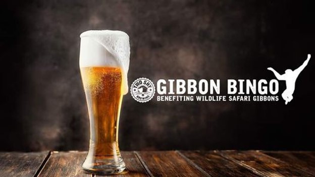 Exploring Roseburg Oregon: Wildlife Safari Presents Bingo at Two-Shy Brewing header image.