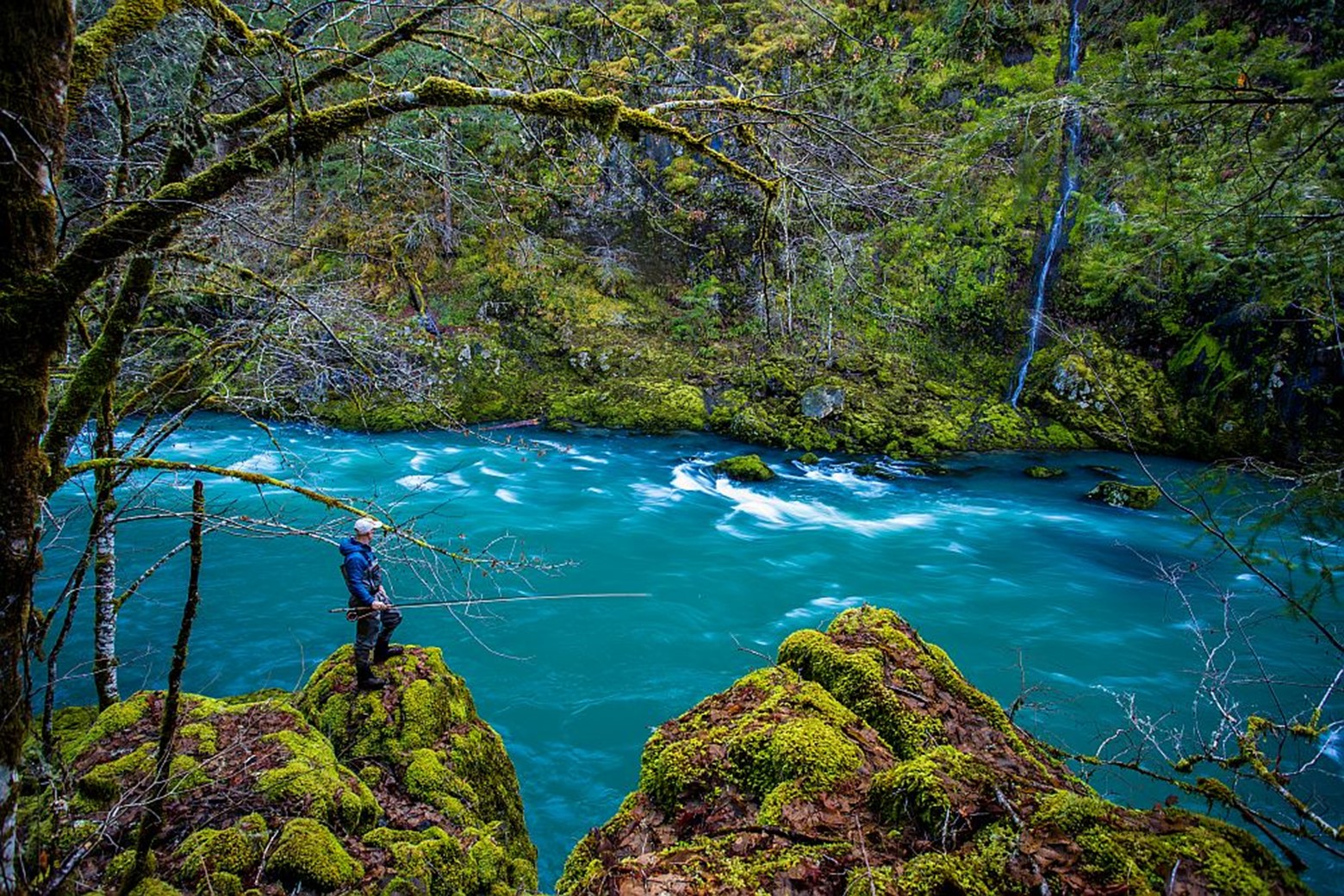 Exploring Roseburg Oregon: North Umpqua River – Experience Winter Steelhead header image.