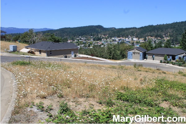 875 Valley Vista St: Residential Building Lot with Amazing Views! header image.