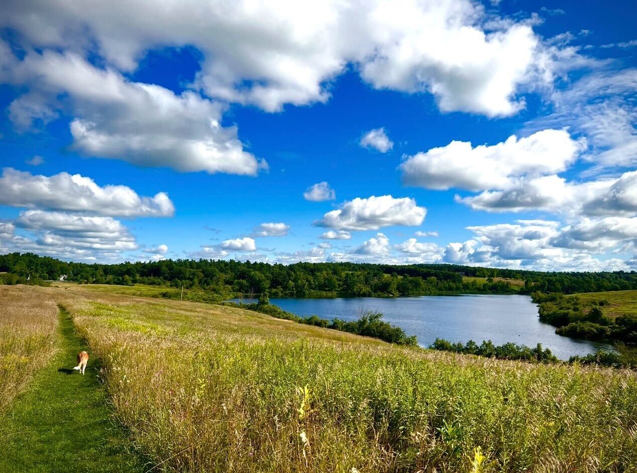 Locals Guide: Hillsdale & Chatham header image.
