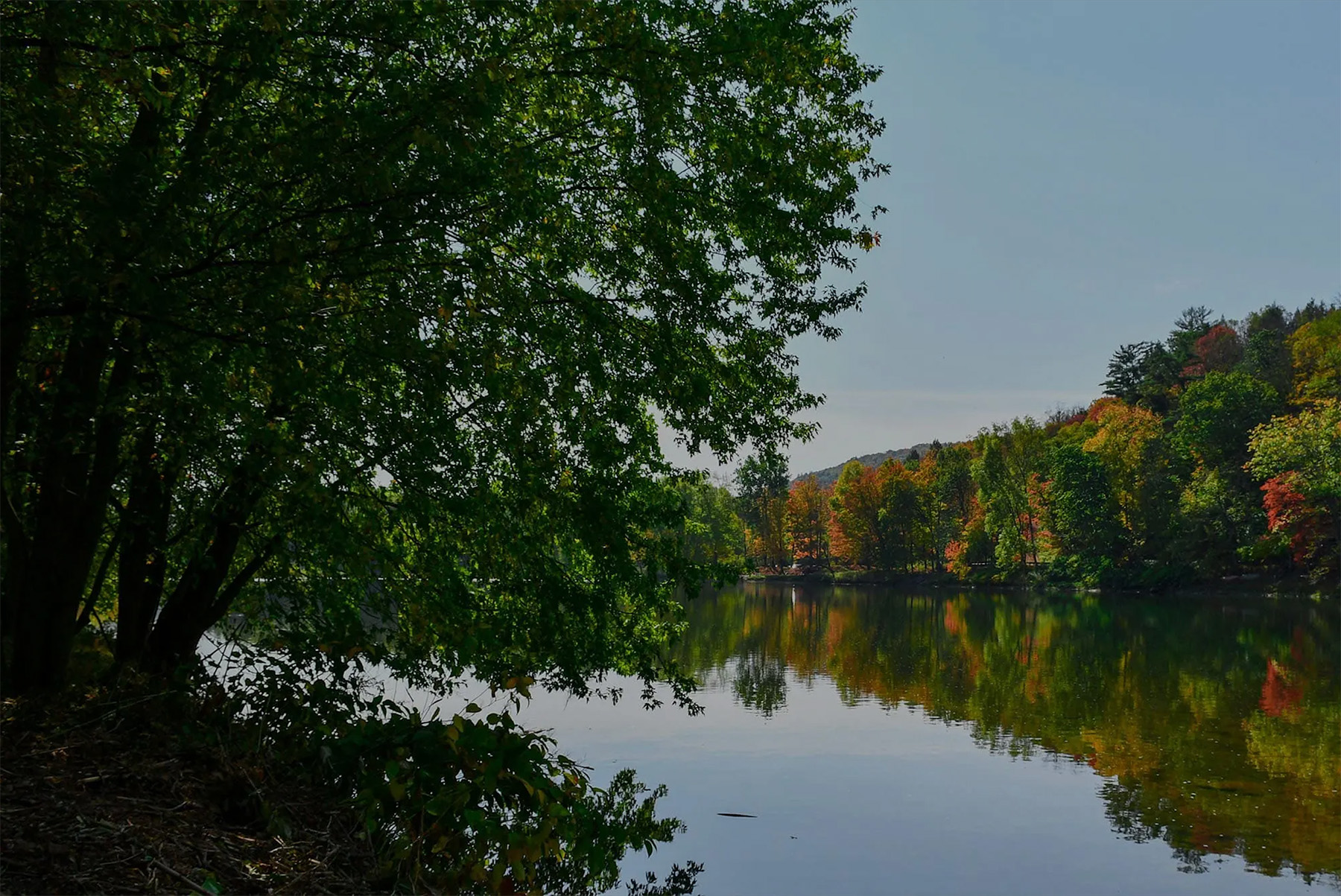 Visit Callicoon, NY header image.