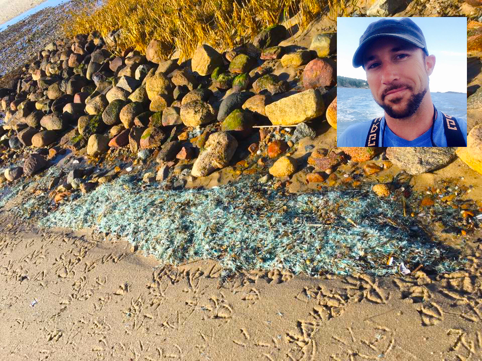 Washed up Fish on Bay Side Beaches – Brewster’s own Owen Nichols explains header image.