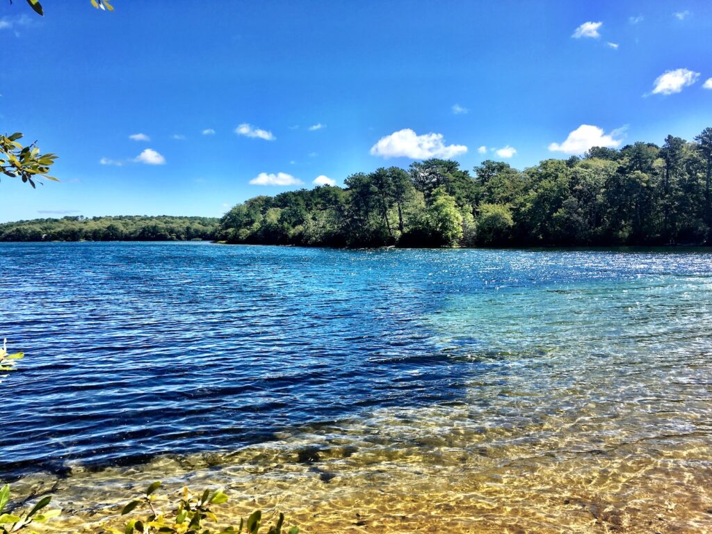 Brewster Ponds header image.