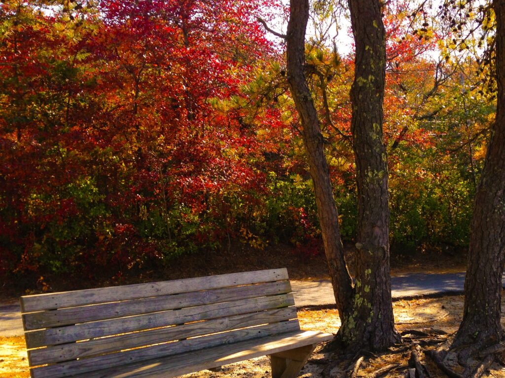 Brewster in the Fall – Why we Love it header image.