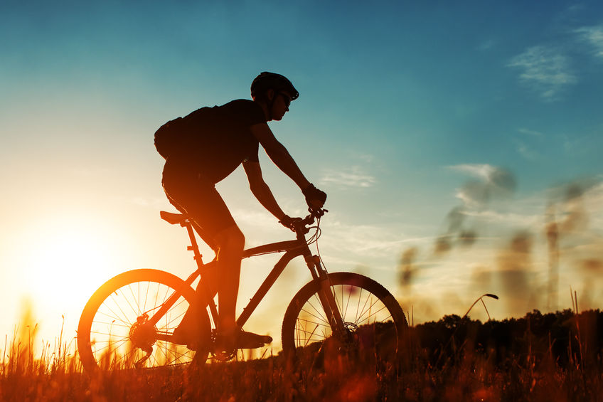 Cape Cod Rail Trail Expansion header image.