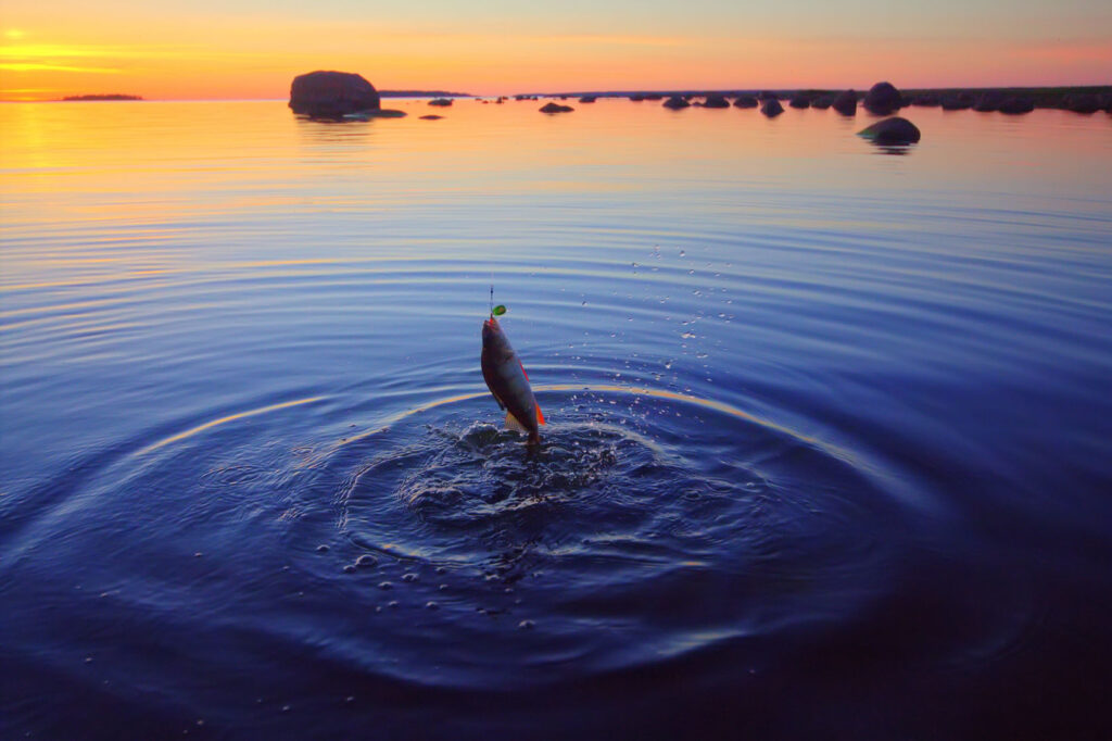 Brewster Fishing Guide header image.
