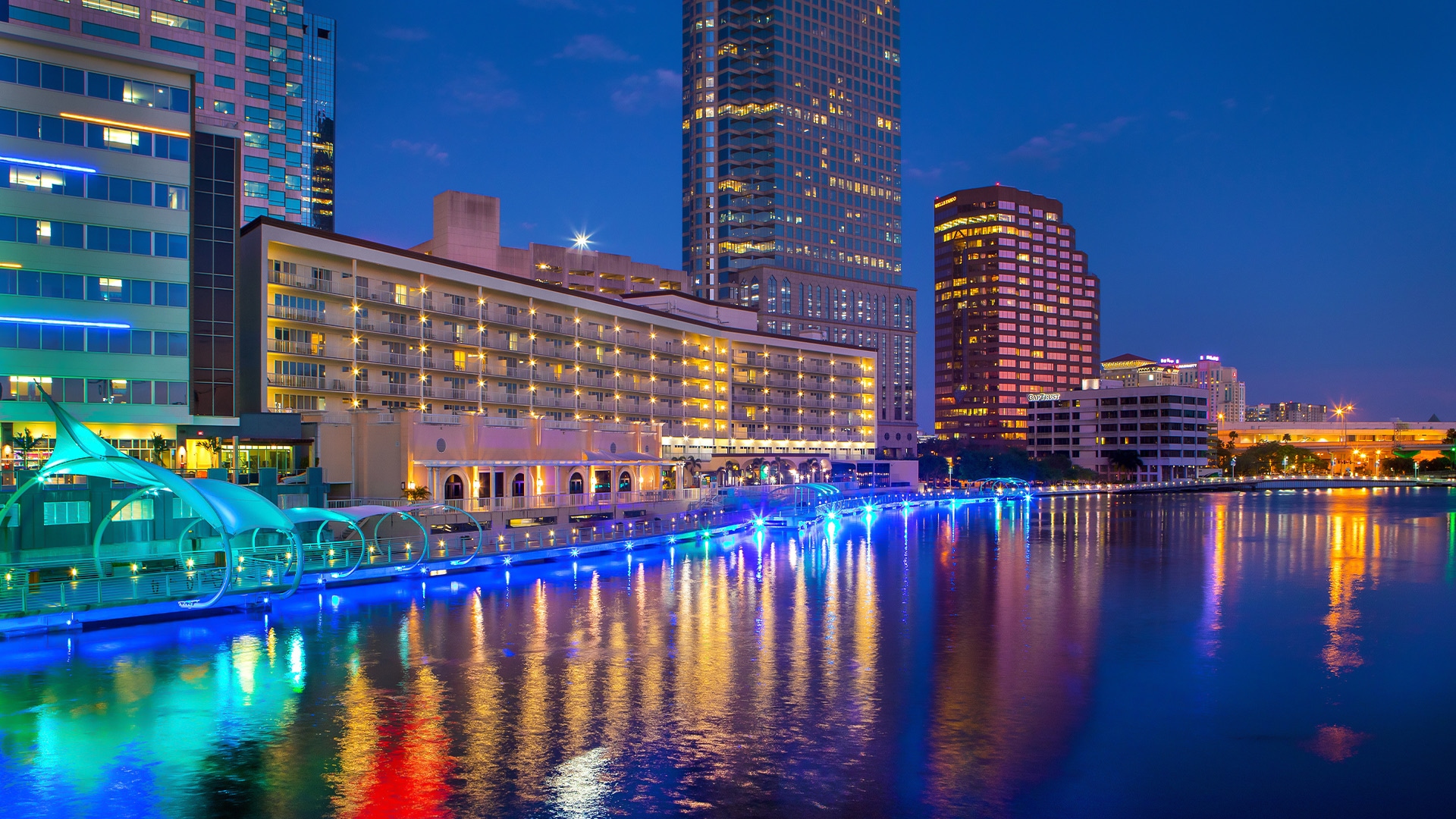 Top Things To Do In Tampa This Weekend! header image.