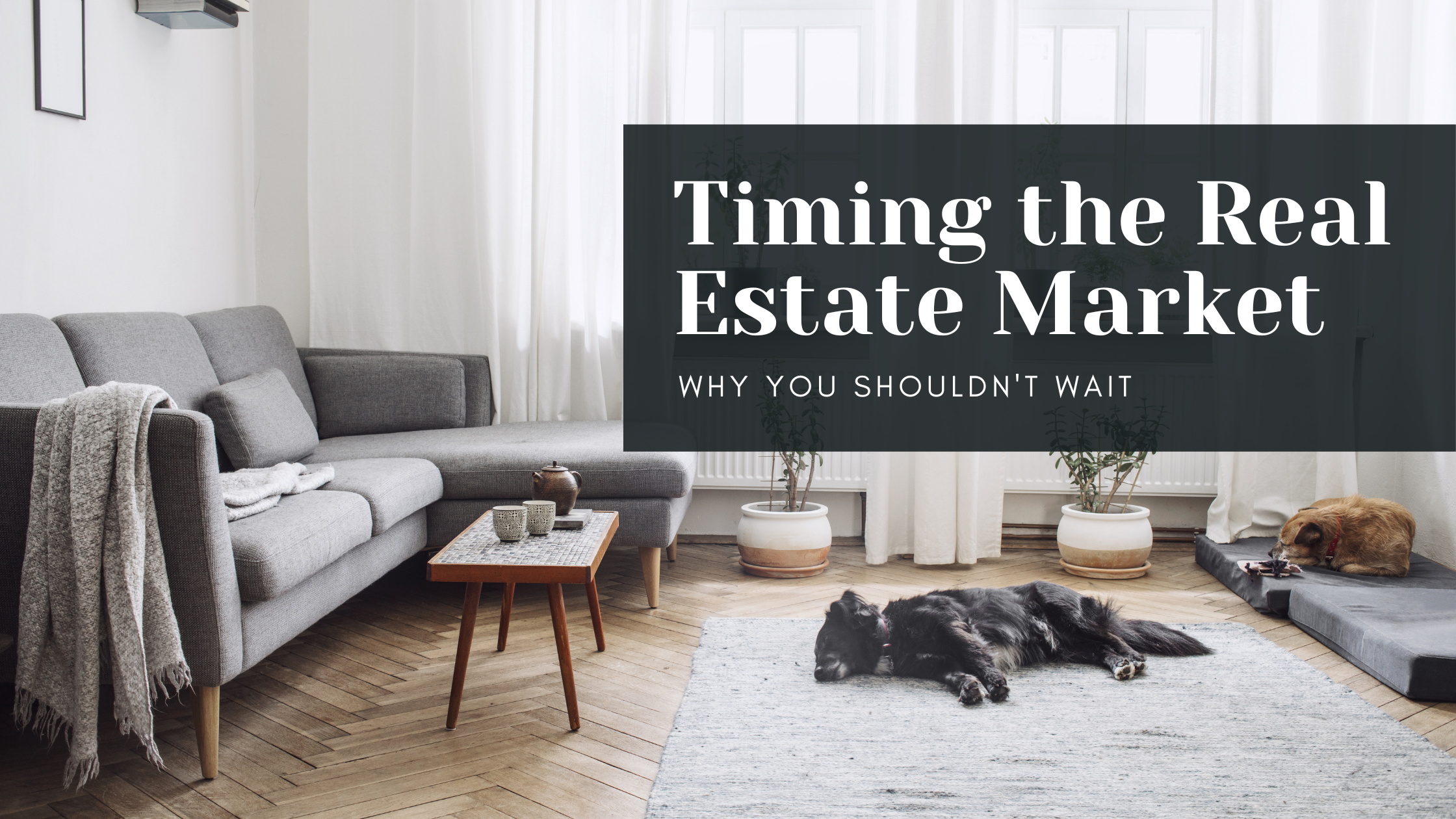 Trying to Time The Real Estate Market? Here's Why You Shouldn't Wait header image.