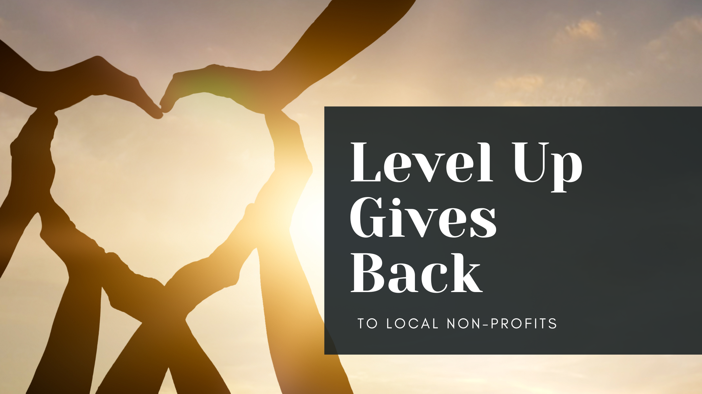 Level Up Gives Back header image.