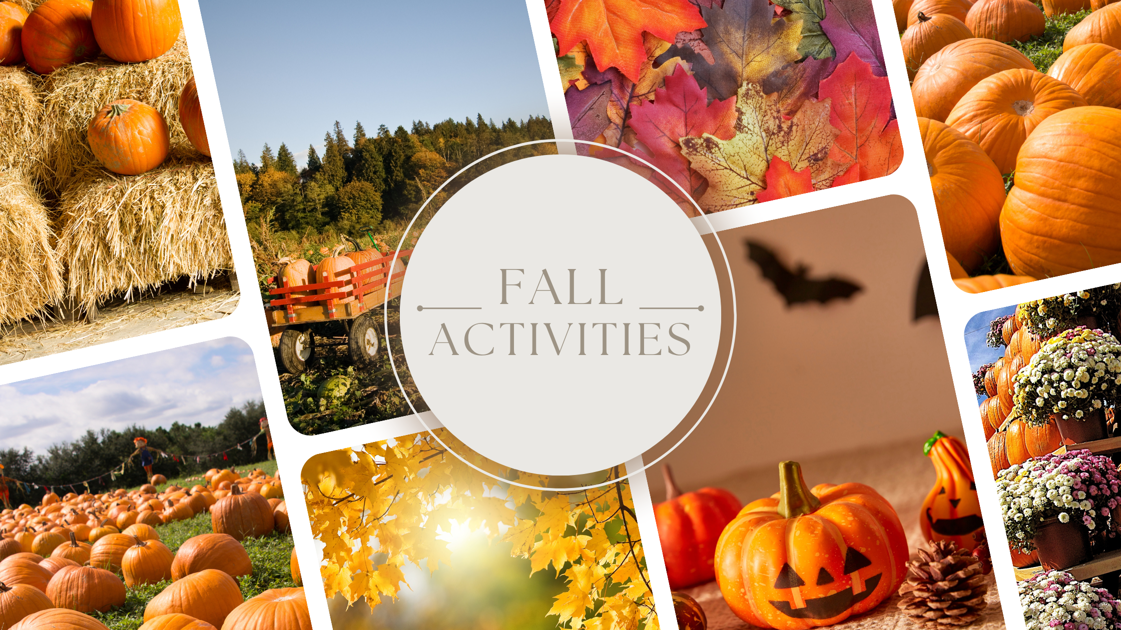 Fall activities in Southeastern Wisconsin