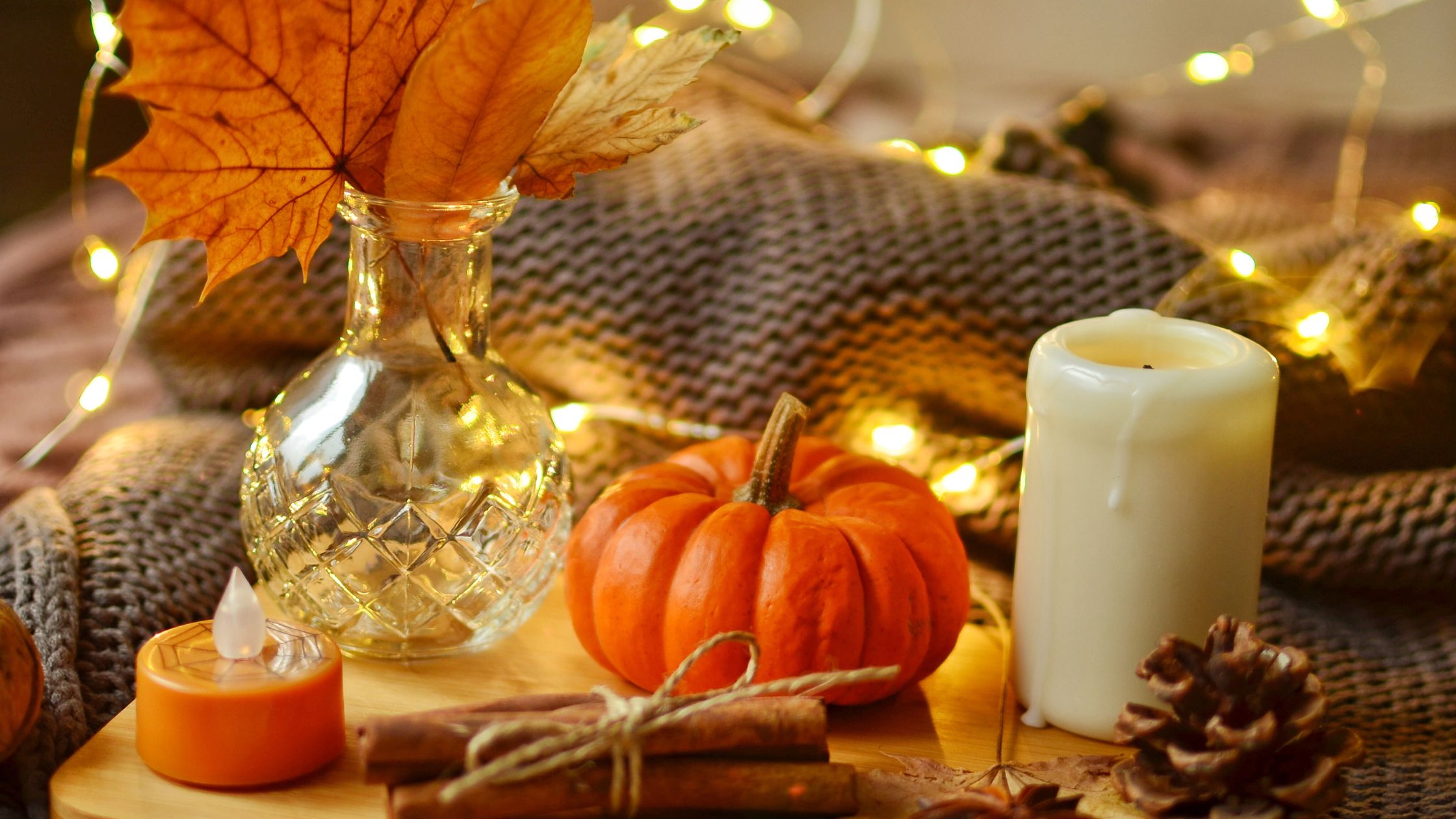 Don't Miss These 10 Fun Things to Do in Fall Around Tennessee header image.