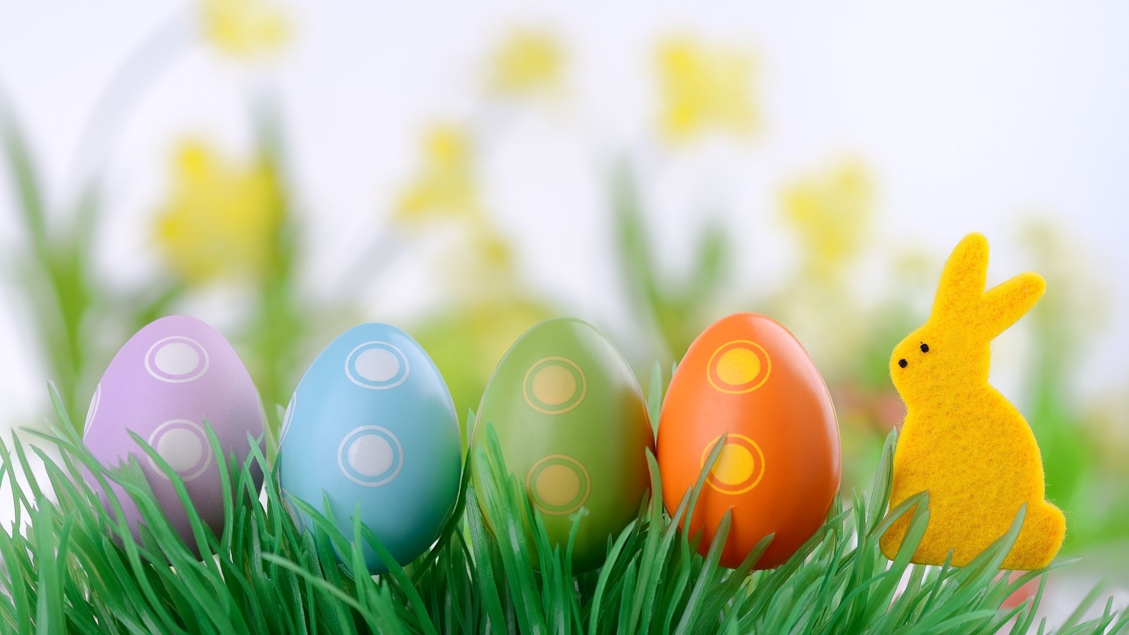 10 Fun and Exciting Things To Do For Easter In Nashville this 2022 header image.