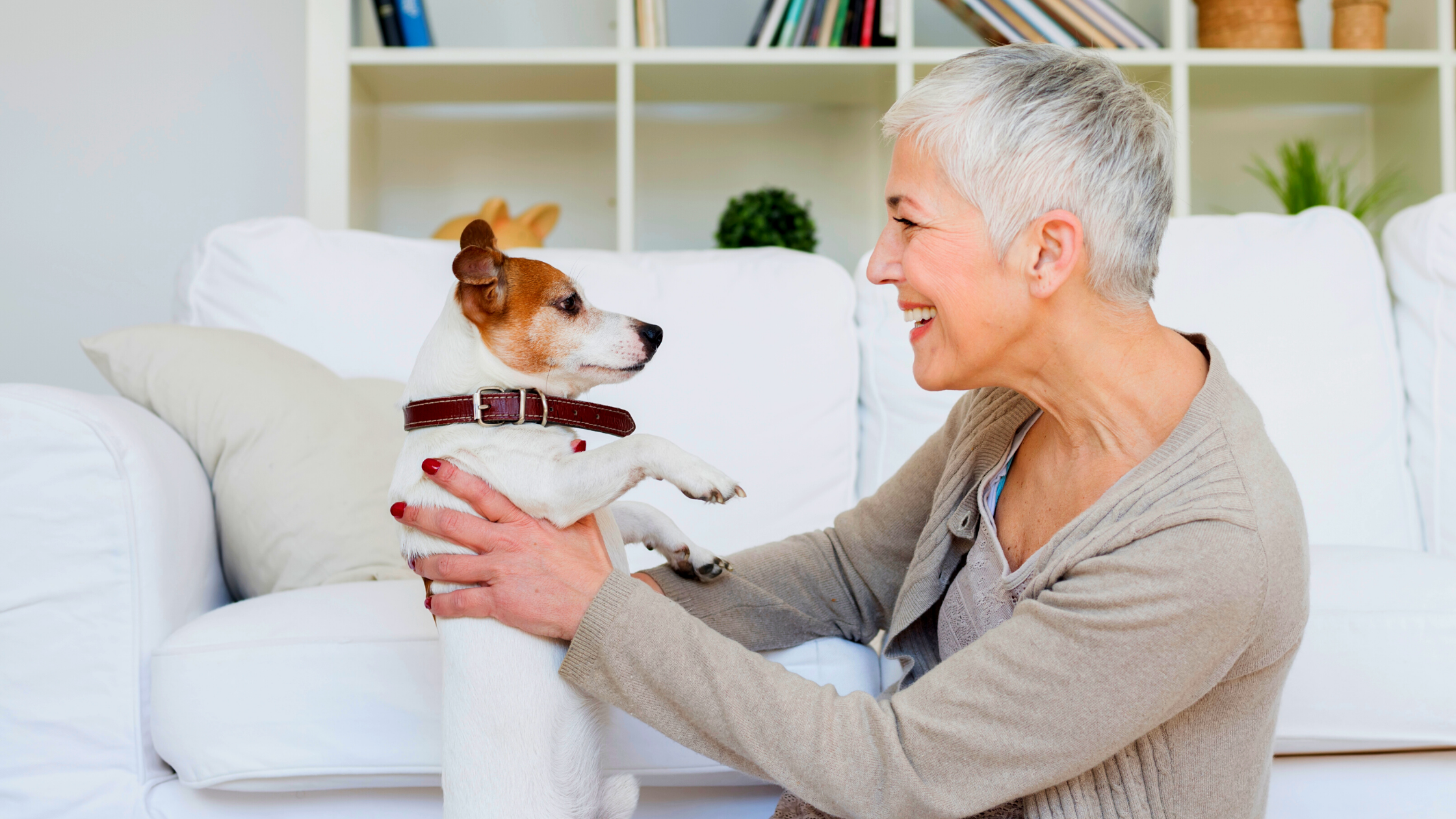5 Helpful Tips in Home Selling For Pet Owners header image.