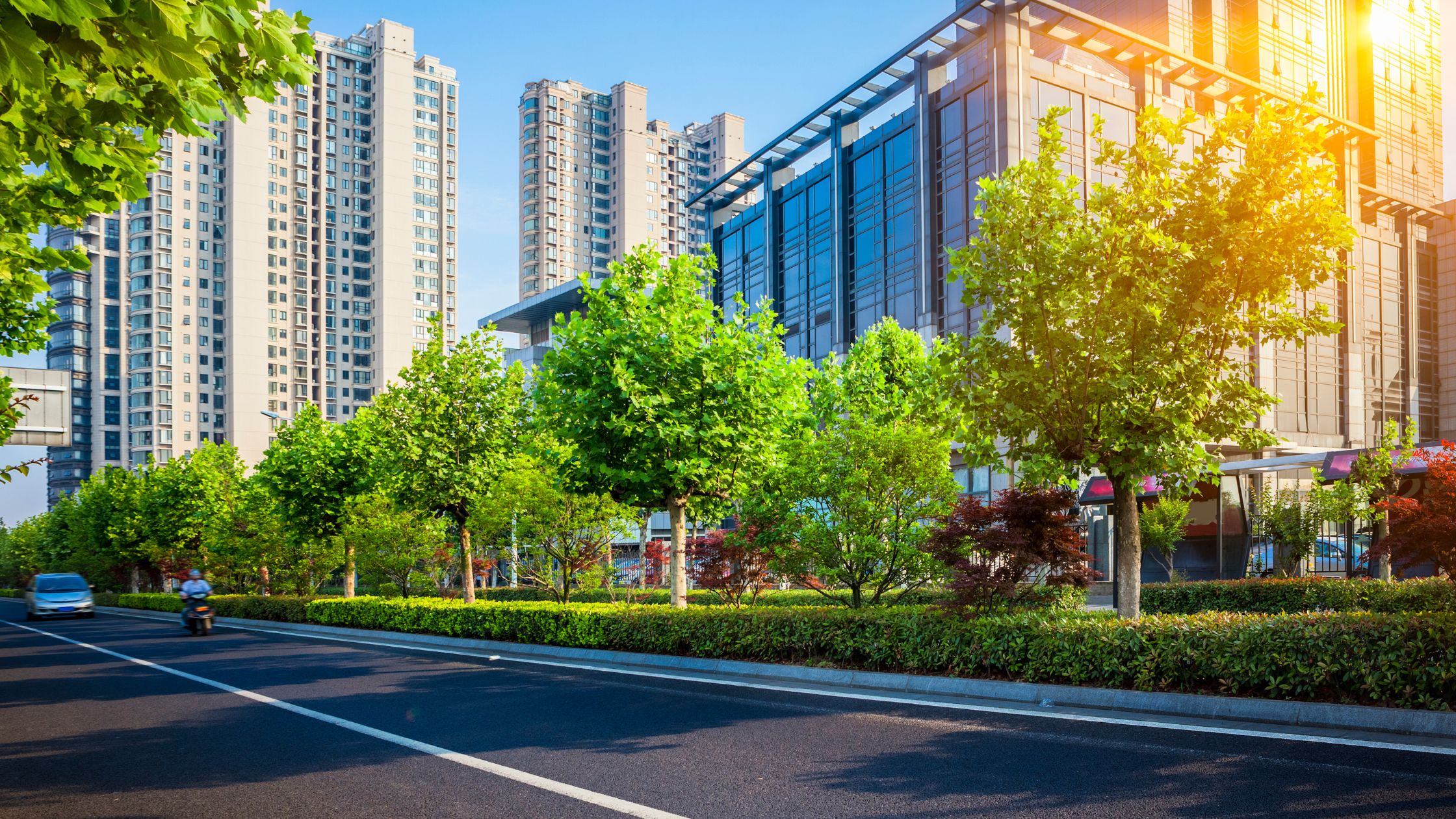 Embracing the Adventure: How to Find Your Groove in a New City header image.