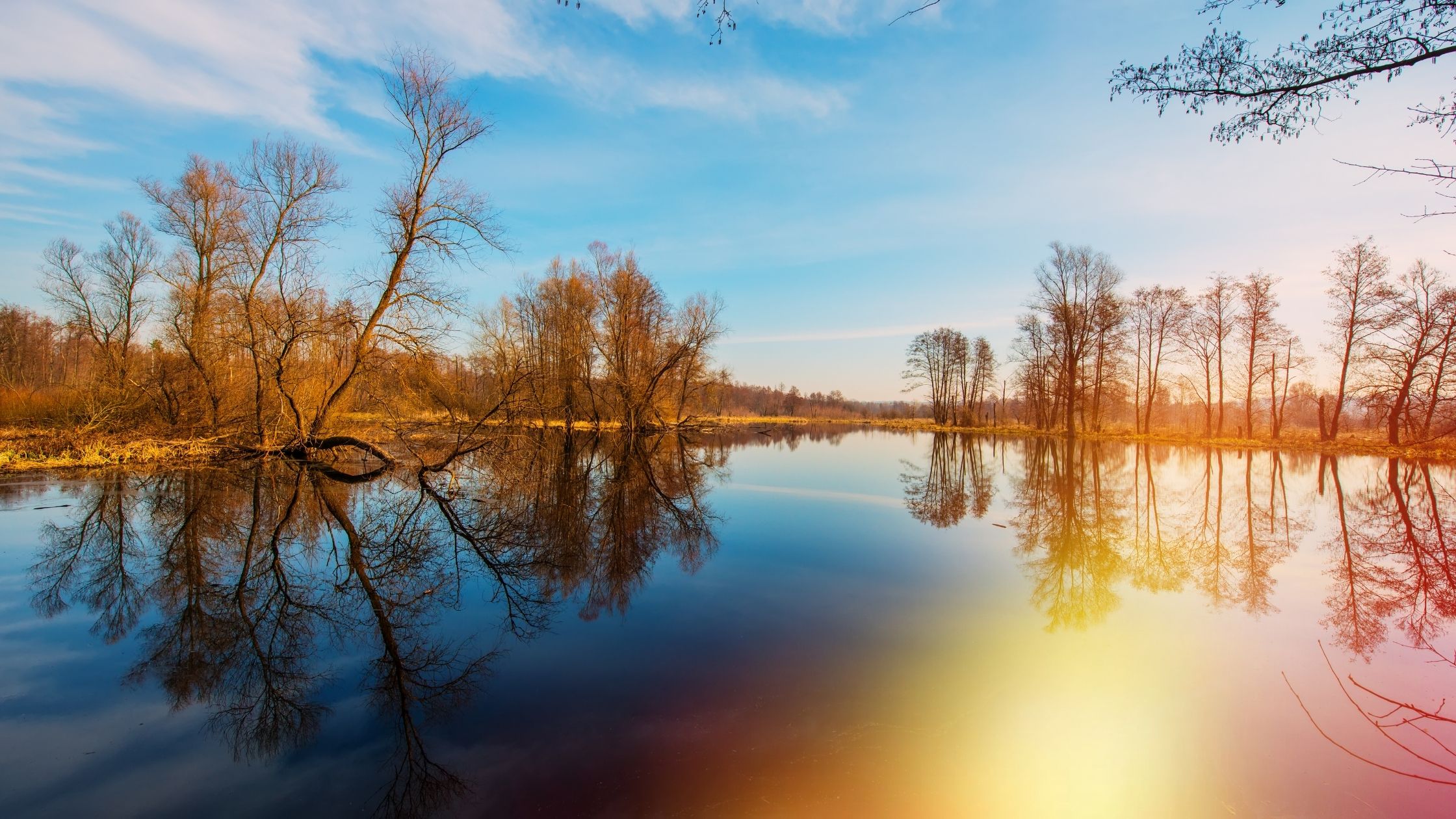 Enjoy the Spring Break in Franklin, TN with these Fun Activities header image.