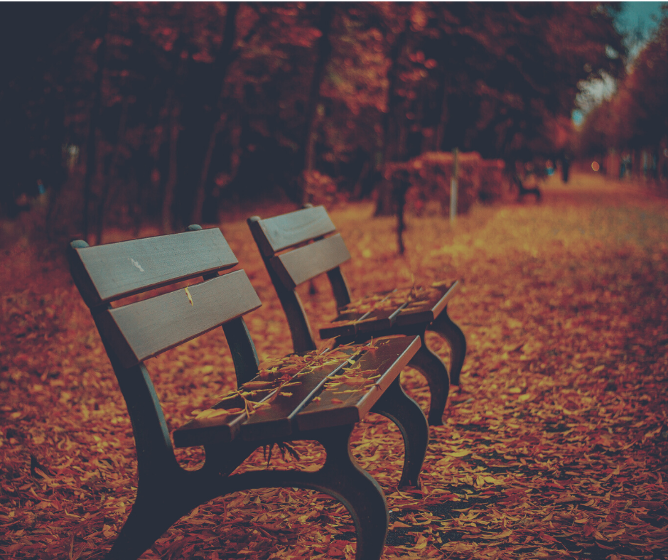 November's Dream Maker Minute! header image.