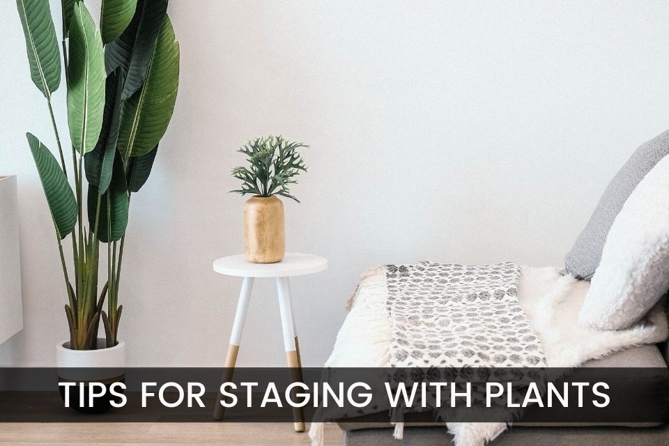 Tips for Staging with Plants header image.