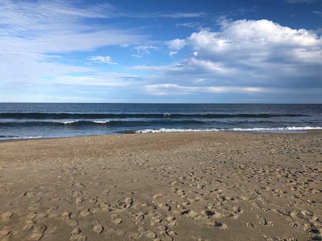 Live Here and Vacation Here! header image.