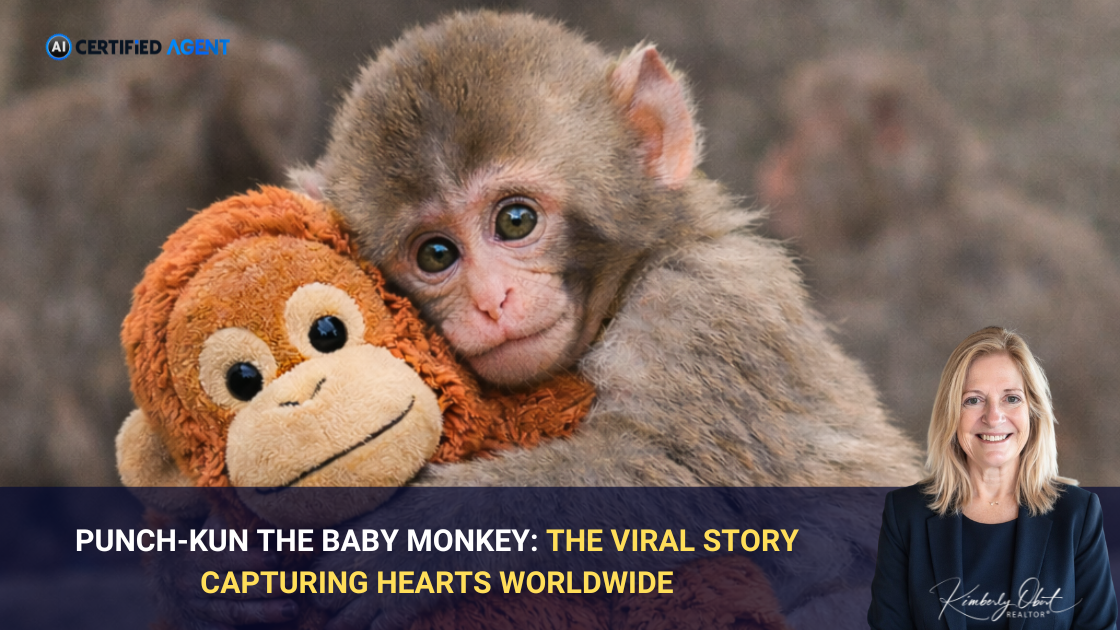Punch-kun the Baby Monkey: The Viral Story Capturing Hearts Worldwide header image.