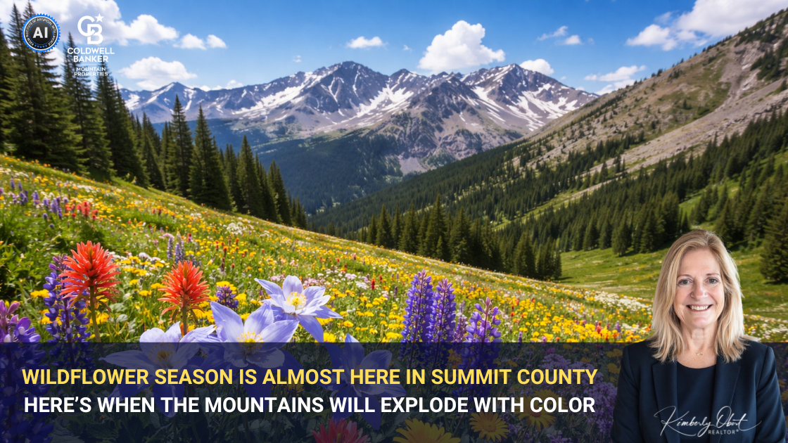 Wildflower Season Is Almost Here in Summit County Here’s When the Mountains Will Explode with Color header image.