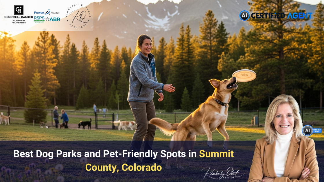 Best Dog Parks and Pet-Friendly Spots in Summit County, Colorado header image.