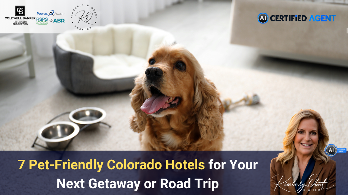 7 Pet-Friendly Colorado Hotels for Your Next Getaway or Road Trip header image.